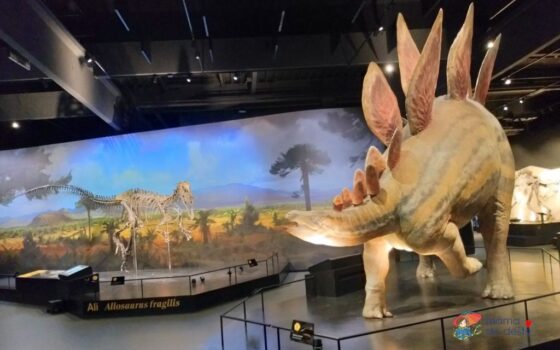 Dinosauria Praha: To pravé pro milovníky dinosaurů + potřebné informace